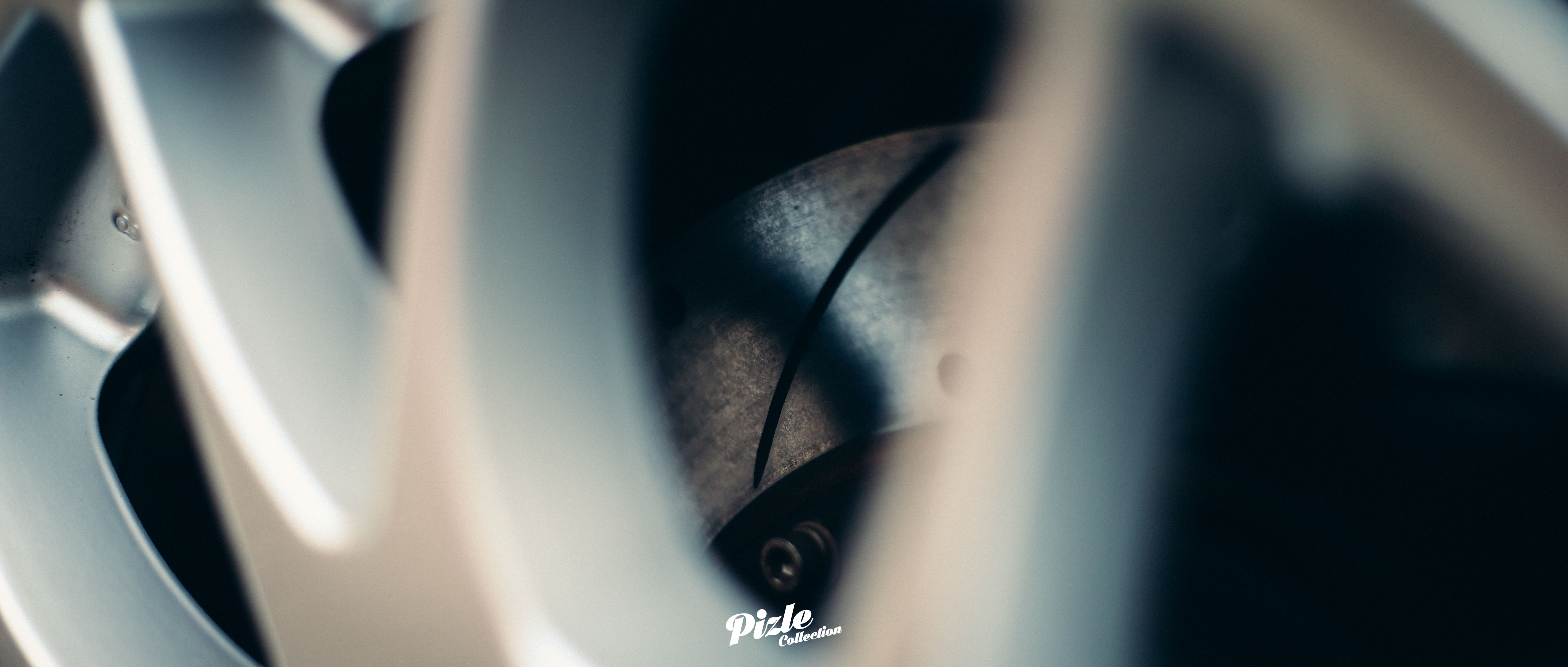 1DX_0240.jpg
