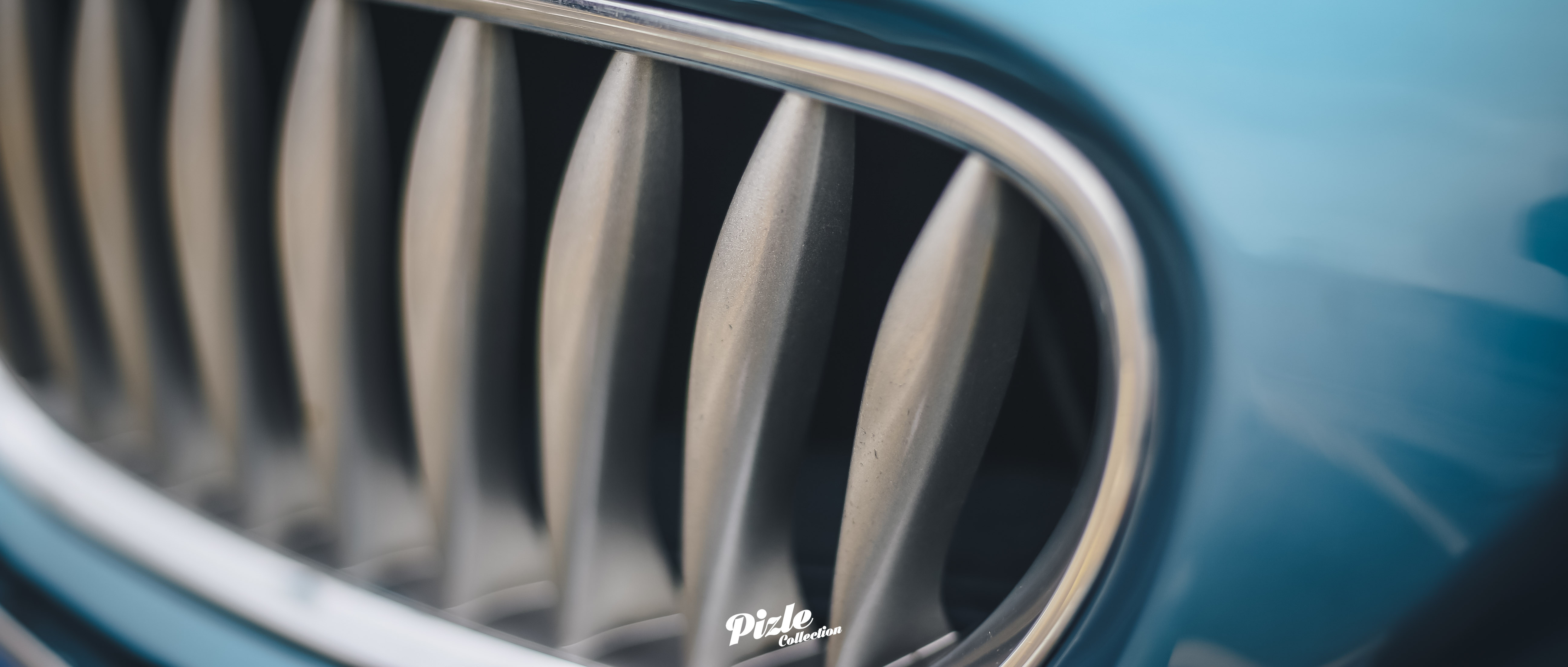 1DX_7095.jpg