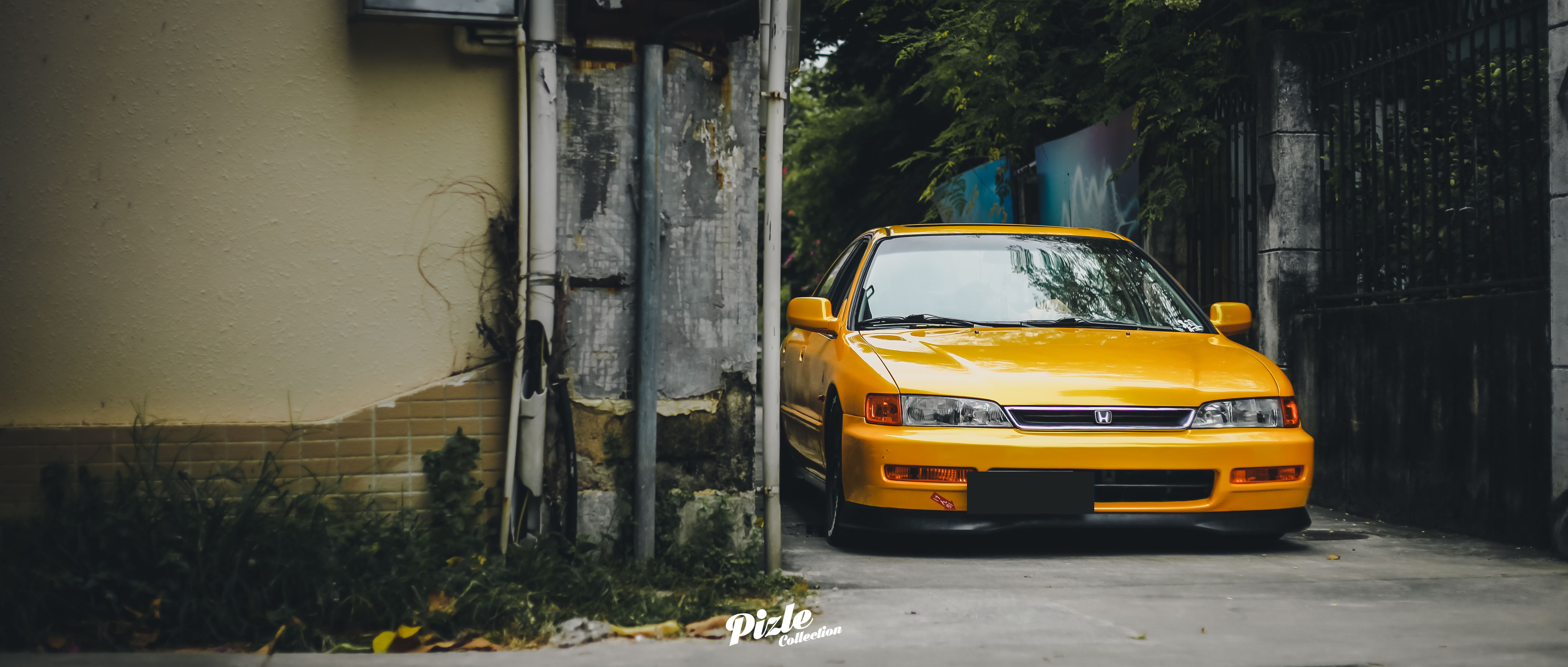 IMG_9956副本.jpg