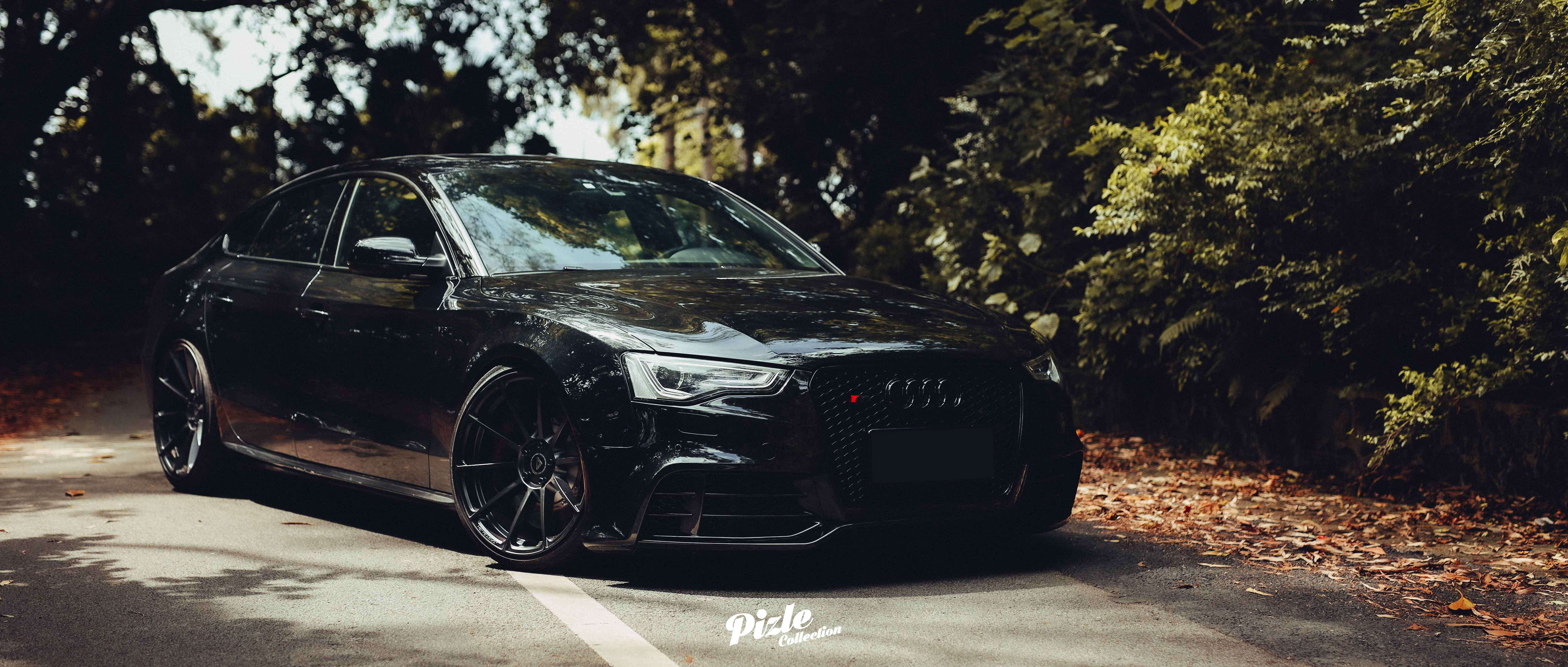 MCL_1515副本.jpg