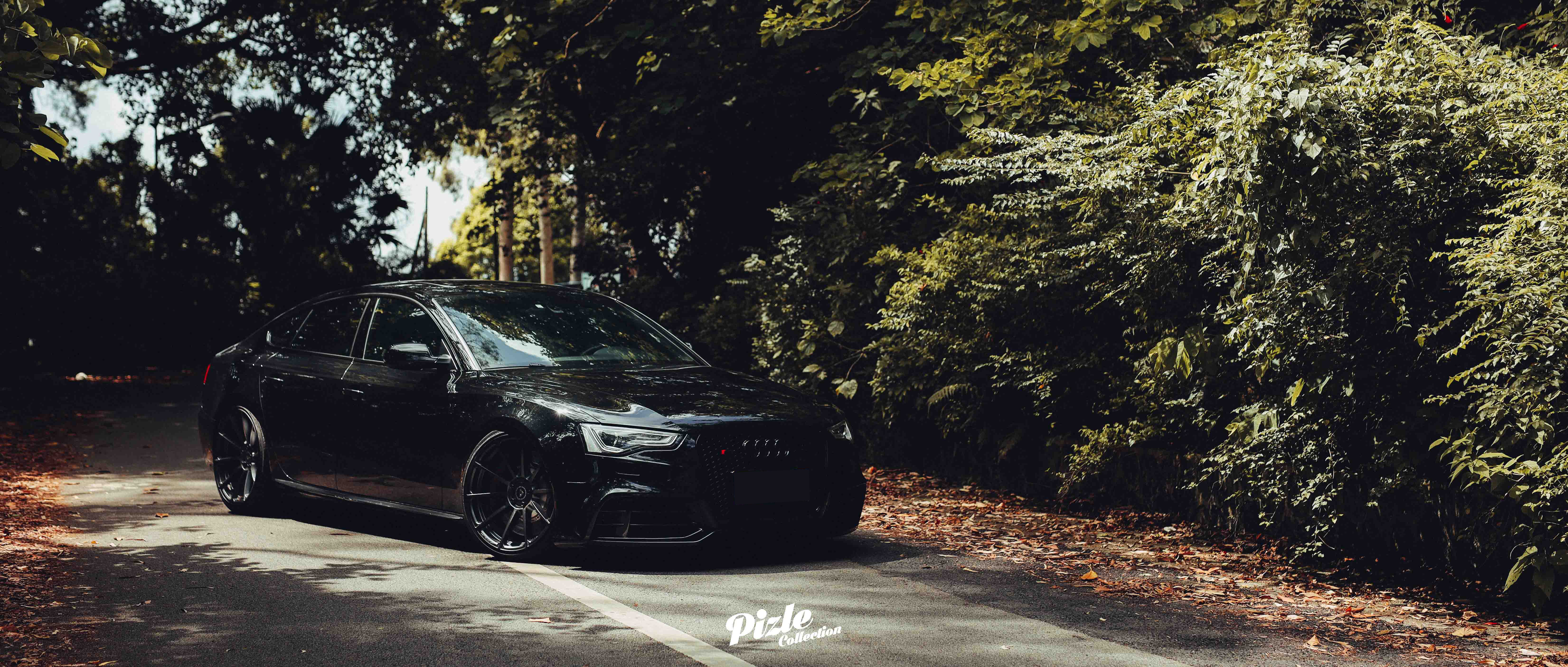 MCL_1531副本.jpg