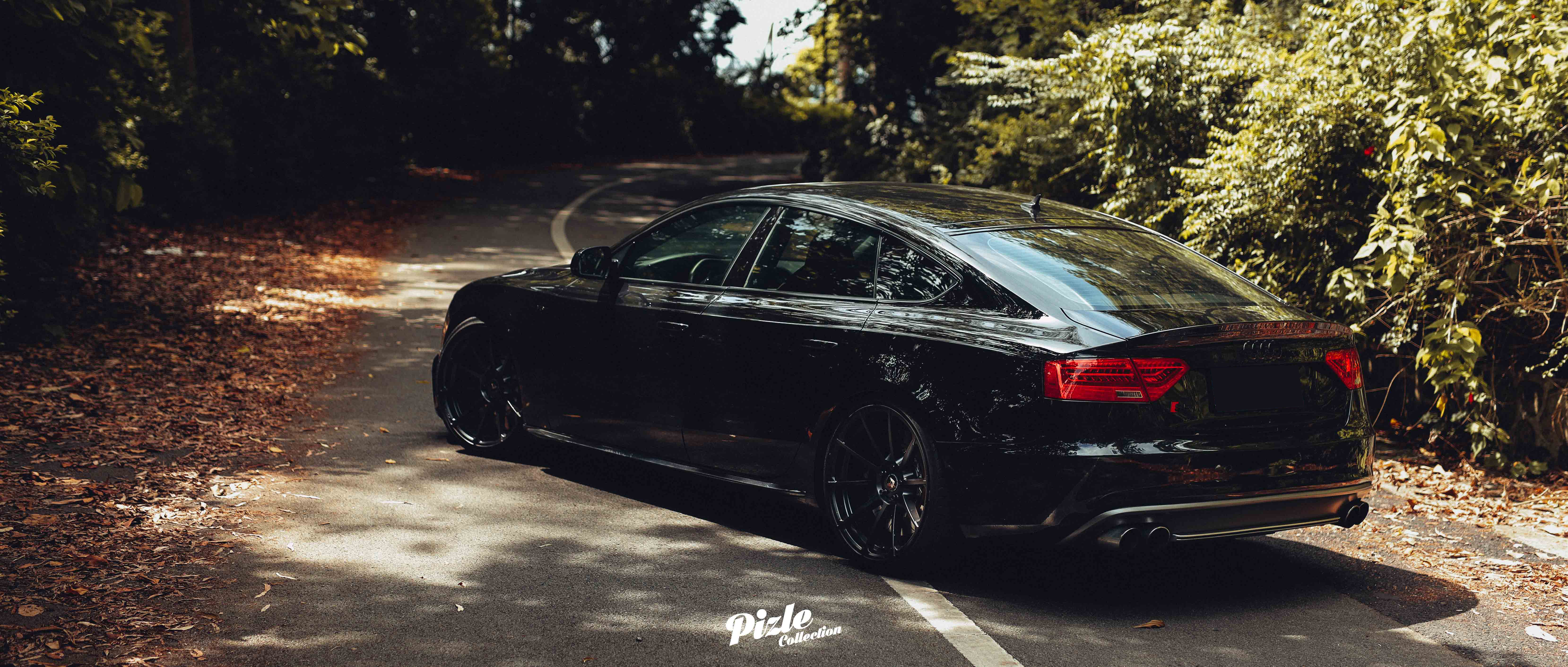 MCL_1577副本.jpg