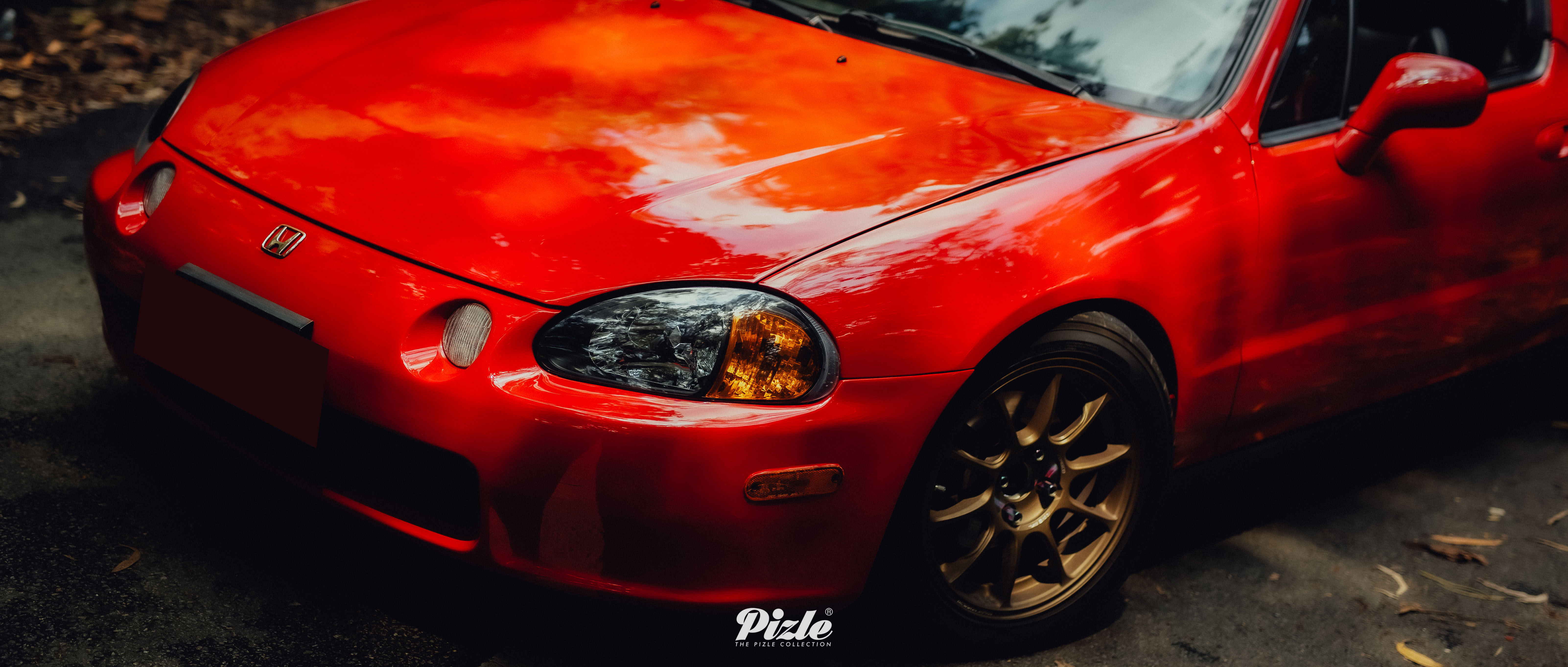 MCL_3493副本-CKJx.jpg