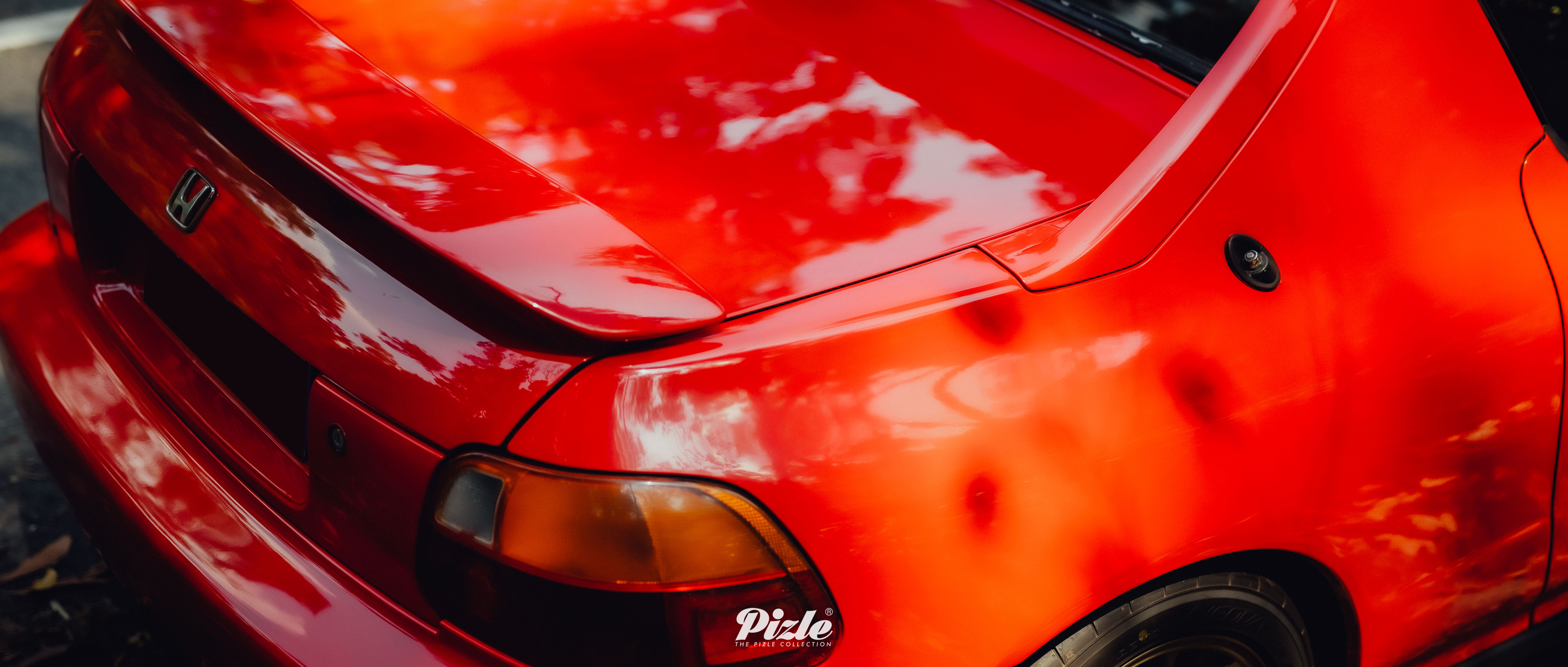 MCL_3550副本.jpg