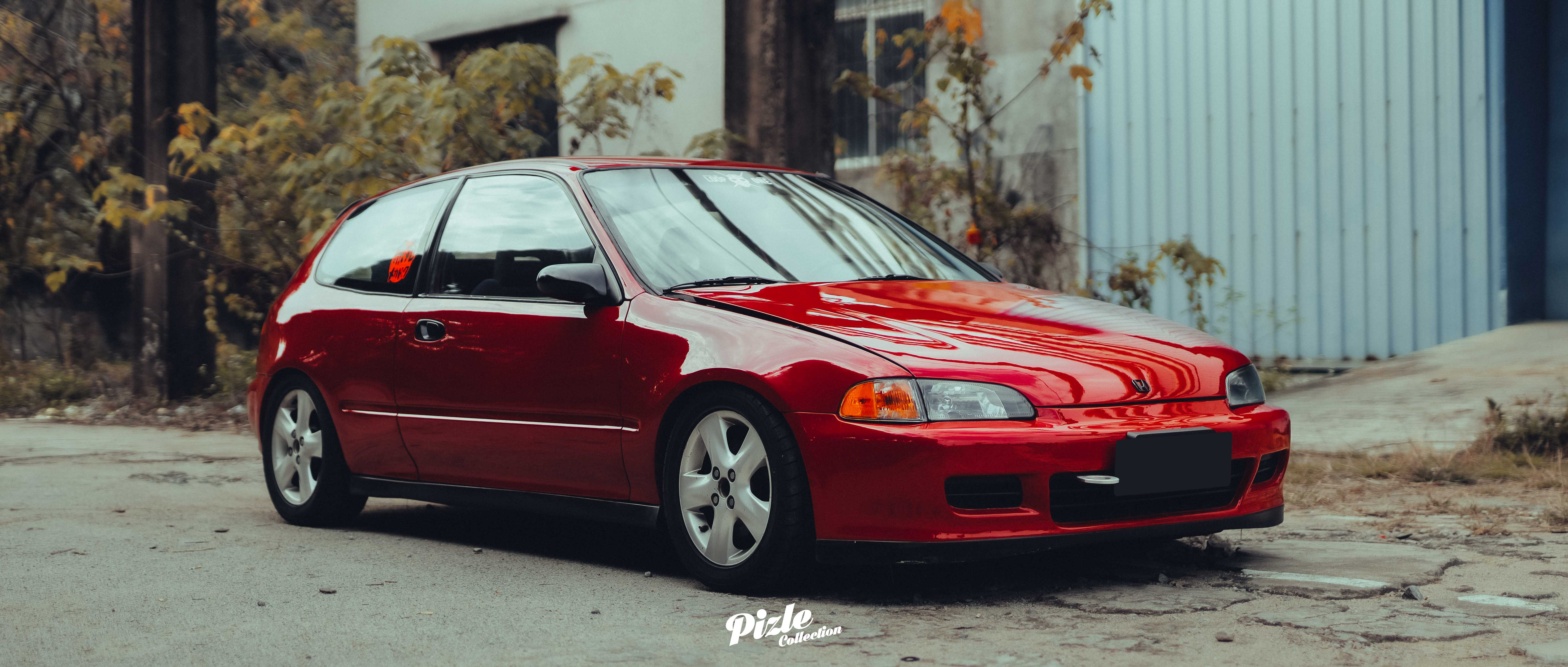 MCL_5451副本.jpg
